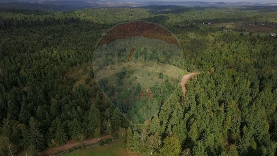 Teren extravilan parcelabil Călățele Pădure, zona Dealu Negru