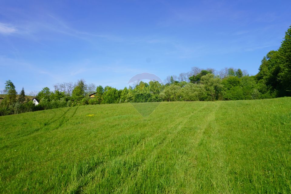 Land 33,137sqm Sighetu Marmatiei / Strada Mocăniței