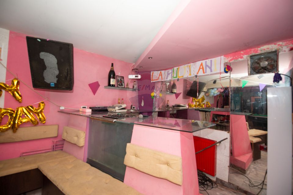 Casa 9 camere de vanzare 1200mp teren Cornetu Padure Lac Mihailesti