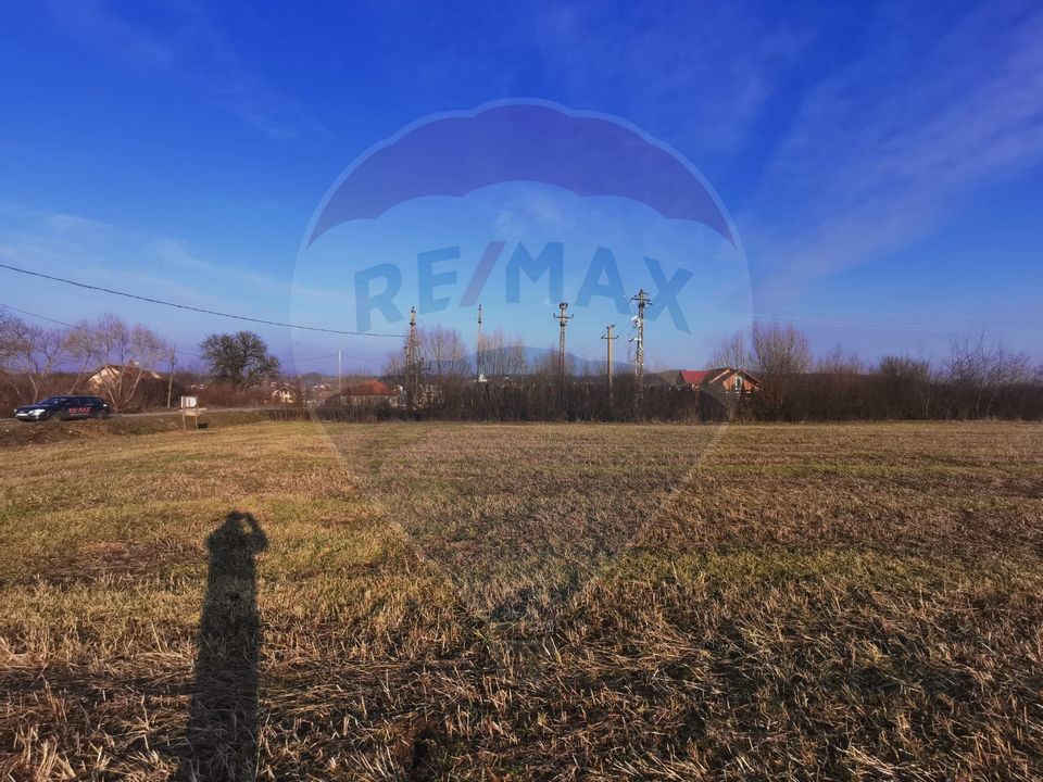 Land 4,400sqm Finteusu Mare / Stradela Principala