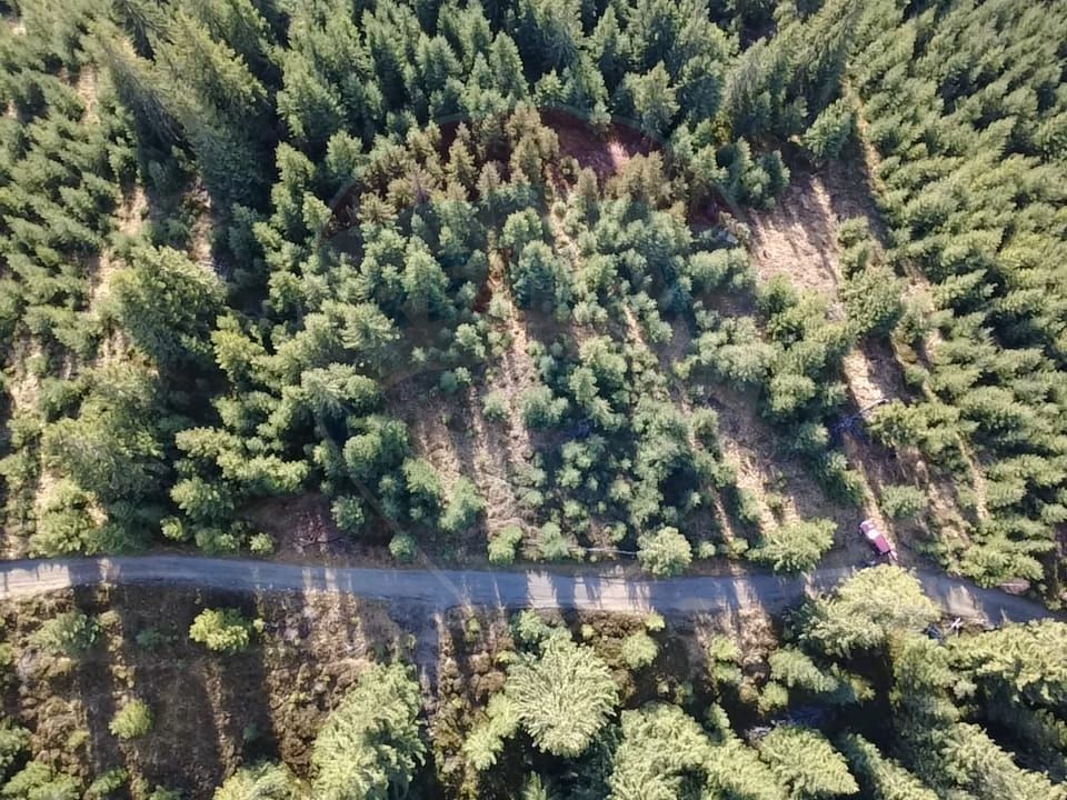 Teren 17,895mp Dorna-Arini / Prelungirea Cozănești