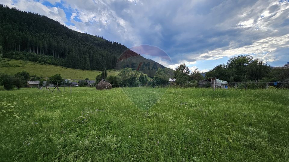 Casa 225 mp, teren intravilan 4822 mp C. Moldovenesc, Suceava