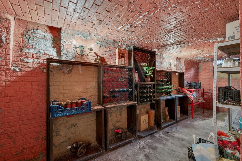 Vila cu arhitectura florentina | Proprietate rara in zona Dorobanti