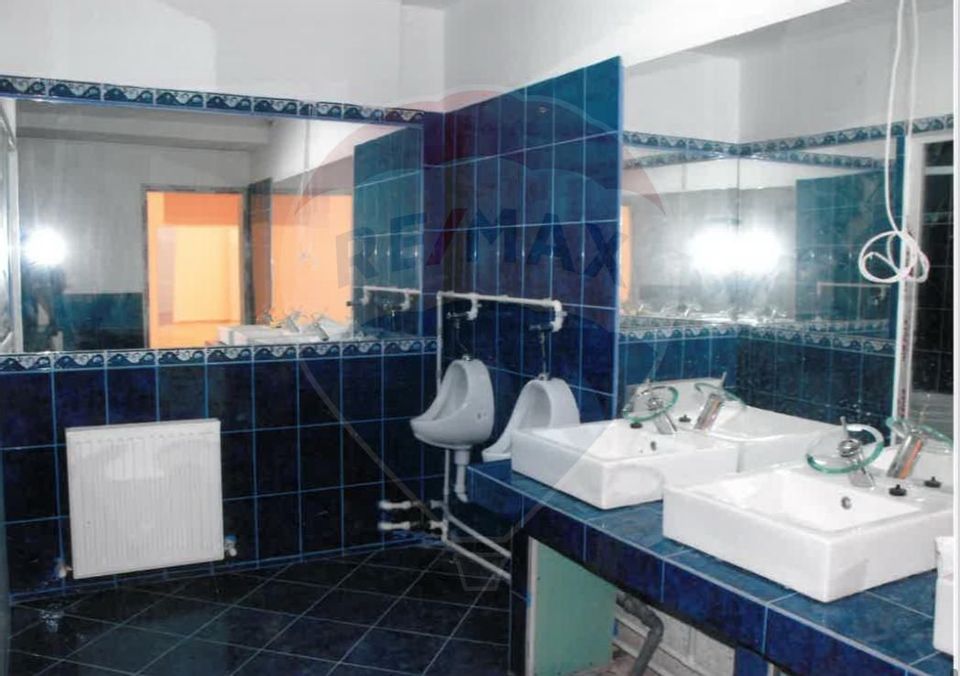 501sq.m Commercial Space for rent, Teiul Doamnei area