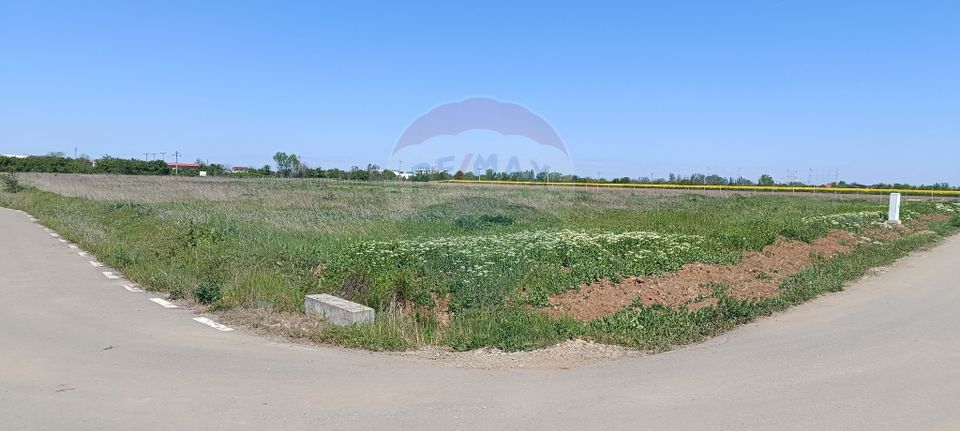 Teren 980mp Ciolpani