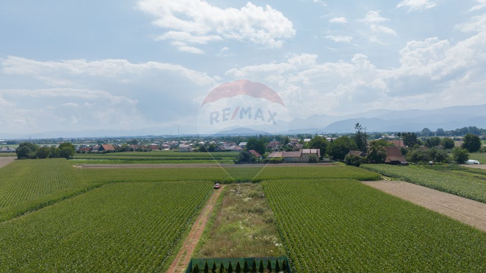 Teren de 1100 mp de vânzare în Stupini