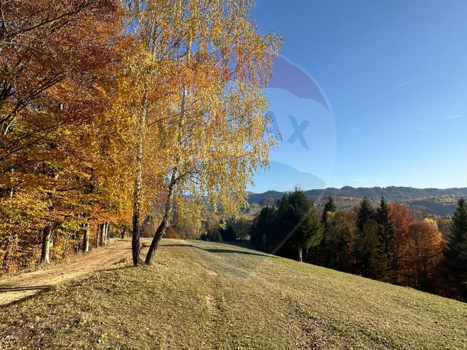 Investment opportunity ! Dream land in Pestera - 125,370 sqm