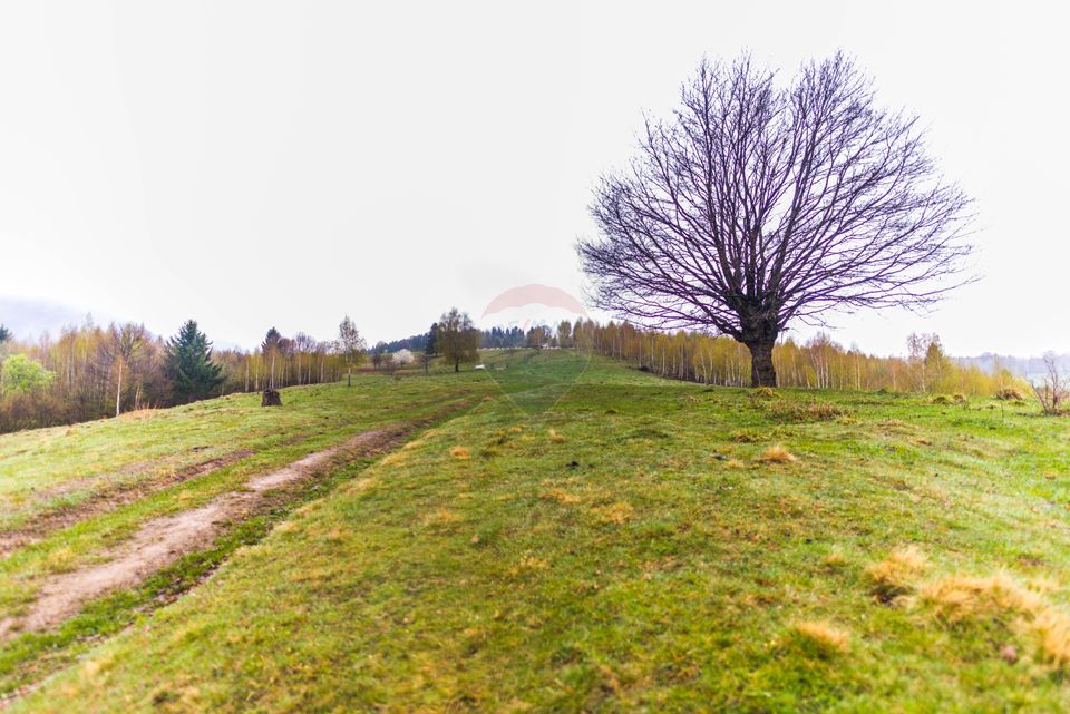 REZERVAT! Teren Rasnov- Valea Glajeriei, 1000 mp sau 2371 mp