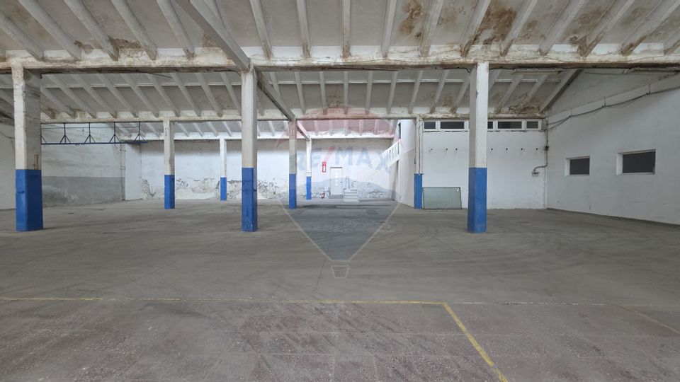 Inchiriere hale industriale lângă Brașov, Prejmer, Lunca Calnicului