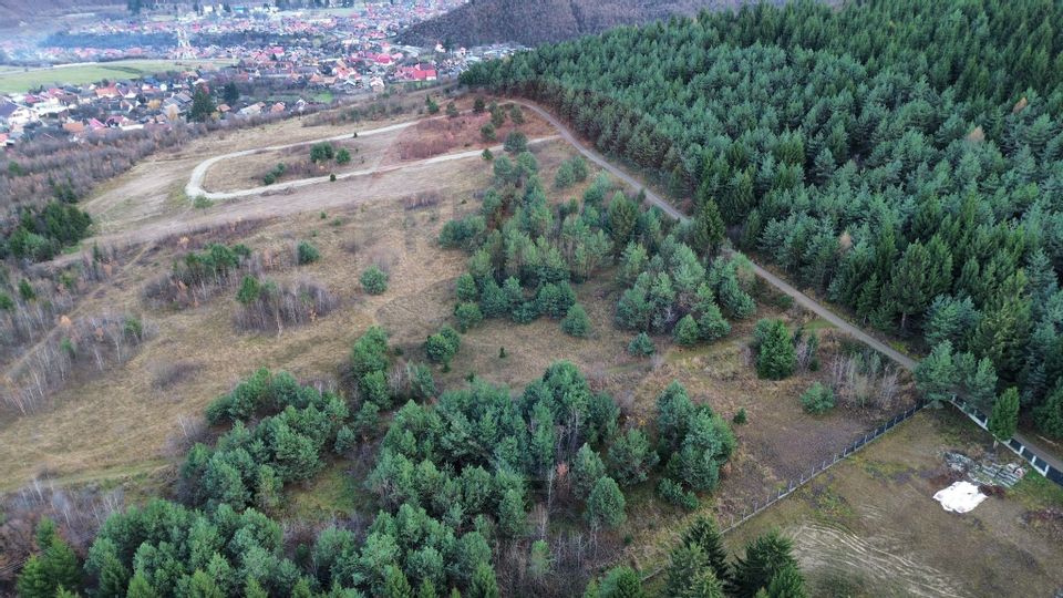 Teren Sacele / Strada Valea Larga 2000 mp