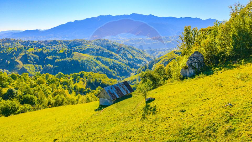 COMISION 0% Teren 10,594mp Pestera /Intravilan