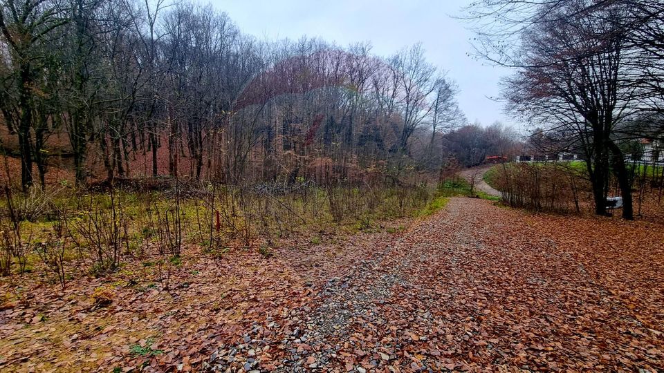 Land 924sqm Tautii-Magheraus / Strada Apa Sarata