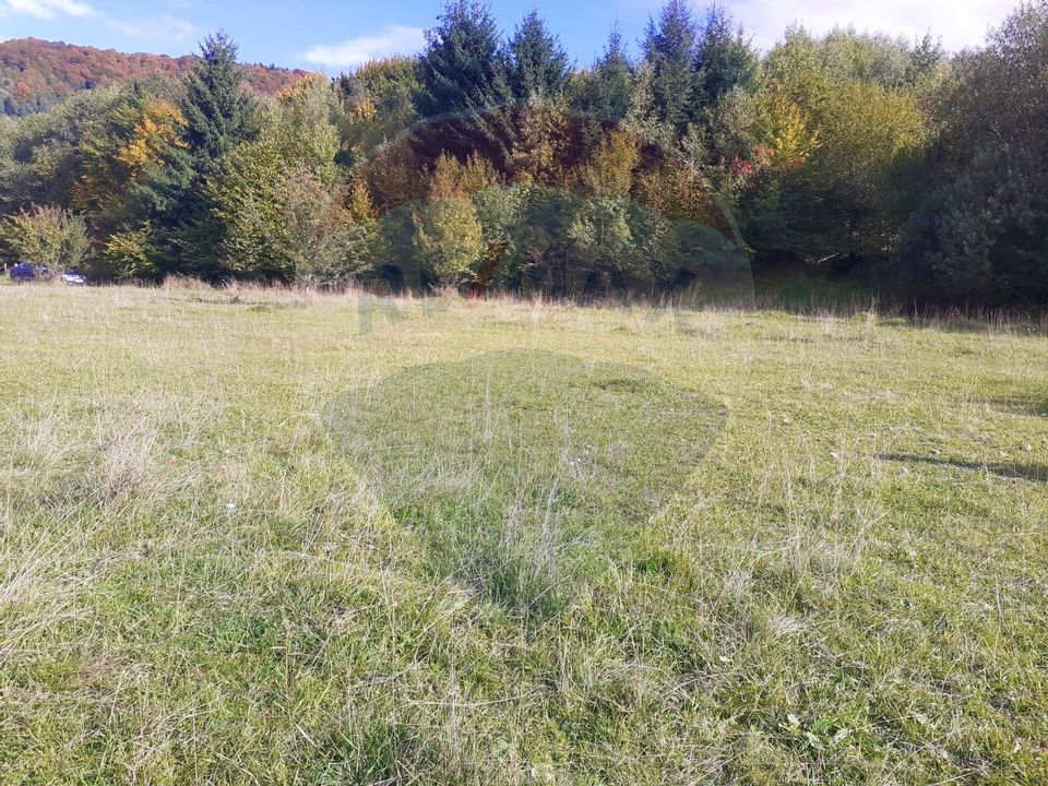 Comision Teren Rasnov - Strada Poiana velicanului, 5167mp