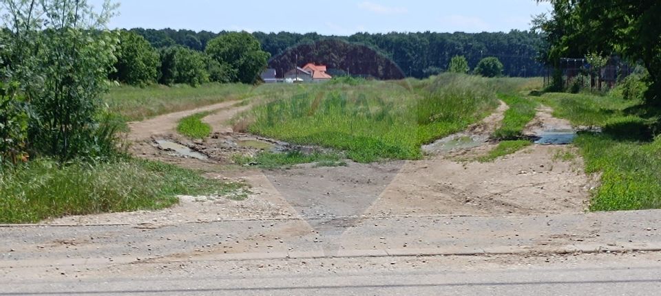 Teren 2,000mp Snagov / Strada Milcov