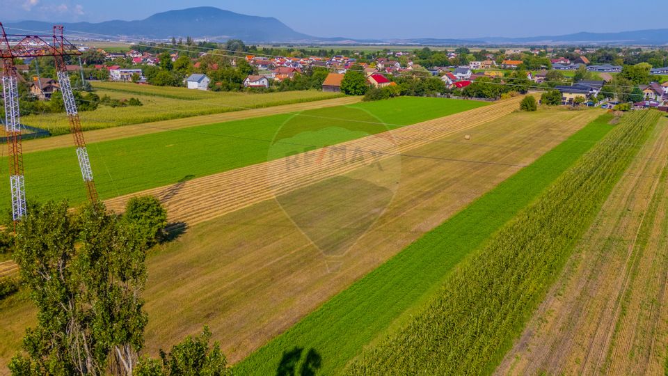 COMISION 0% Teren 523 mp Brasov / Stupini