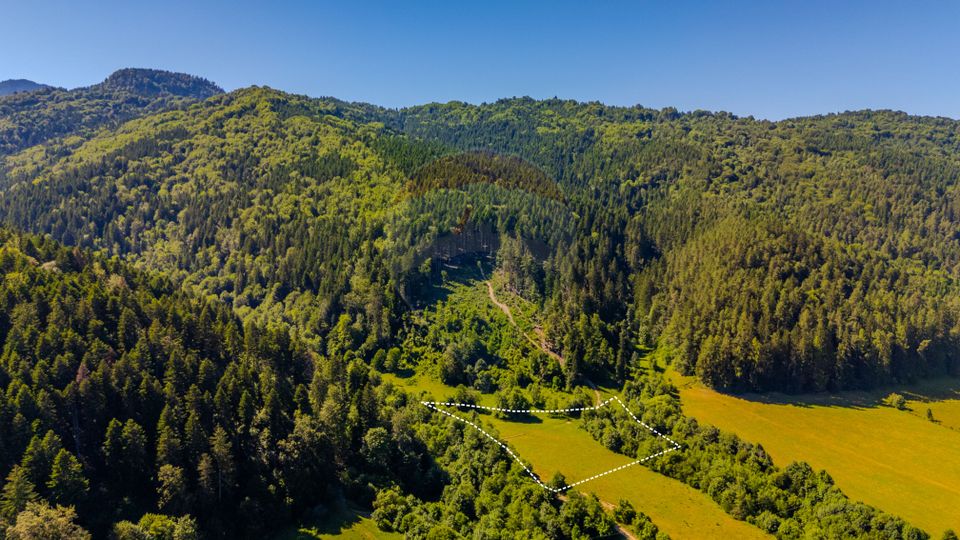 Teren 7300mp Sacele -zona Brădet/ Intravilan/ COMISION 0%