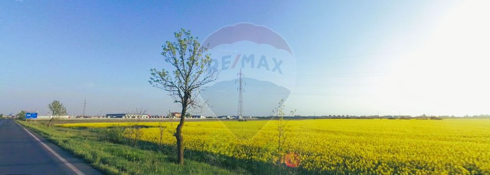 Land 50,513sqm Arad / Strada Exterior