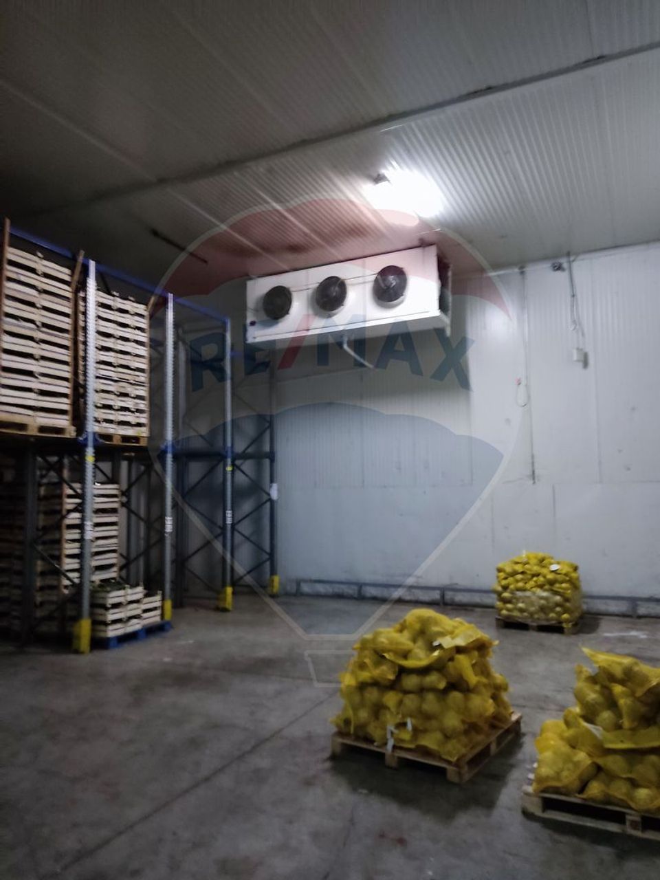 Depozit frigorific  hala ideal legume, fructe, flori