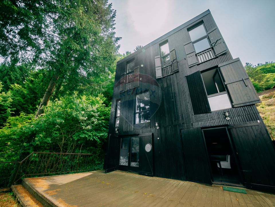 Vanzare casa de vacanta cu ponton privat la lac Tarnita