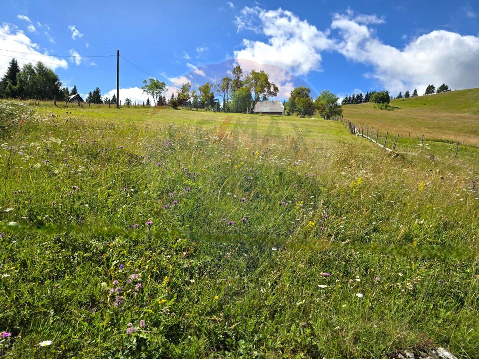 Teren de vis în Fundata 1934mp sau 3868mp, la înălțimea sufletului tău