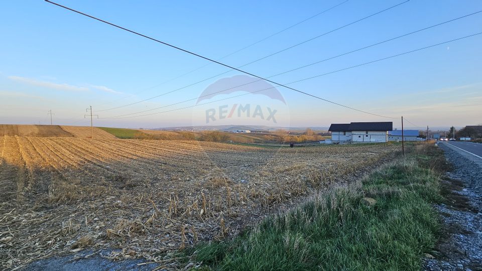Teren Extravilan 2500 mp-Stroiesti, Suceava