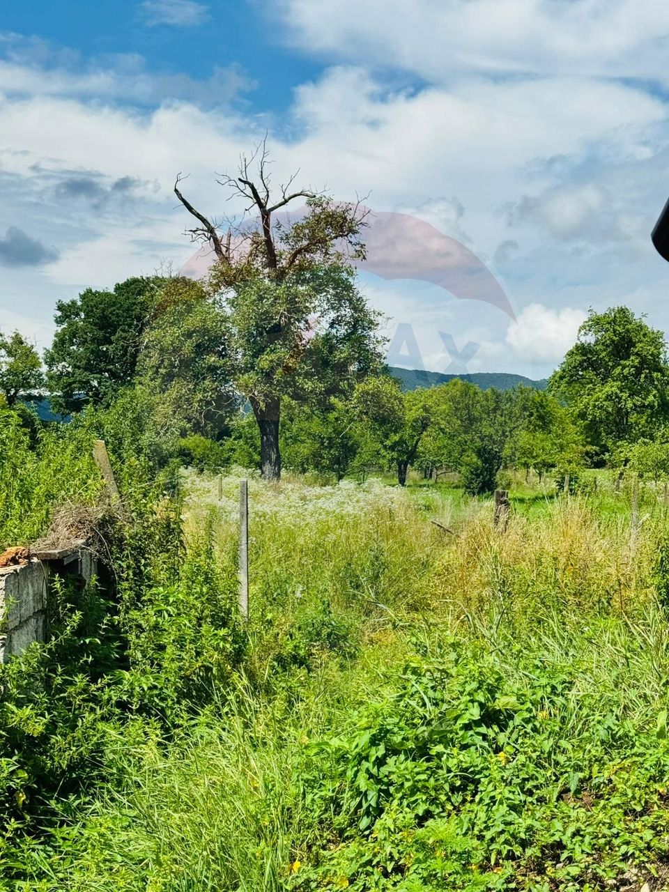 3 room House / Villa for sale