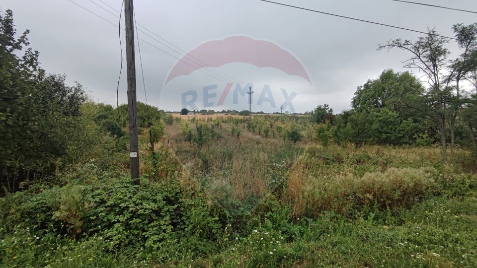 Teren 2.341 mp Uileacu de Munte front 26 ml la drum asfaltat