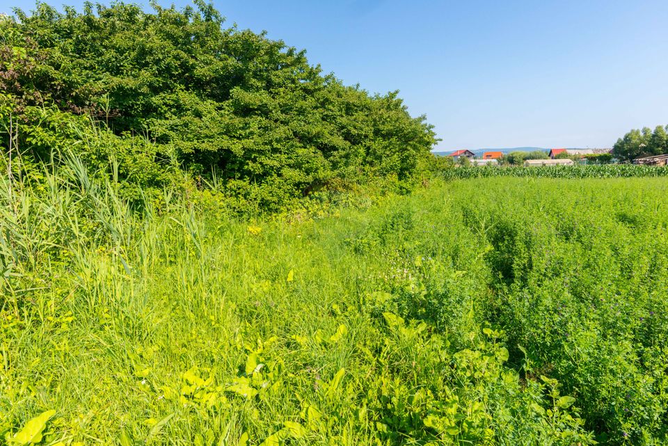 Teren constructii 2900mp  Lunca Calnicului-Str Gradinilor