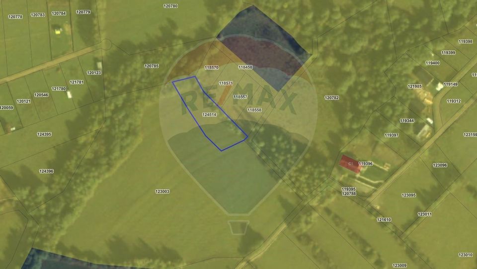 Land 1,205sqm Zarnesti / Drumul DJ112H