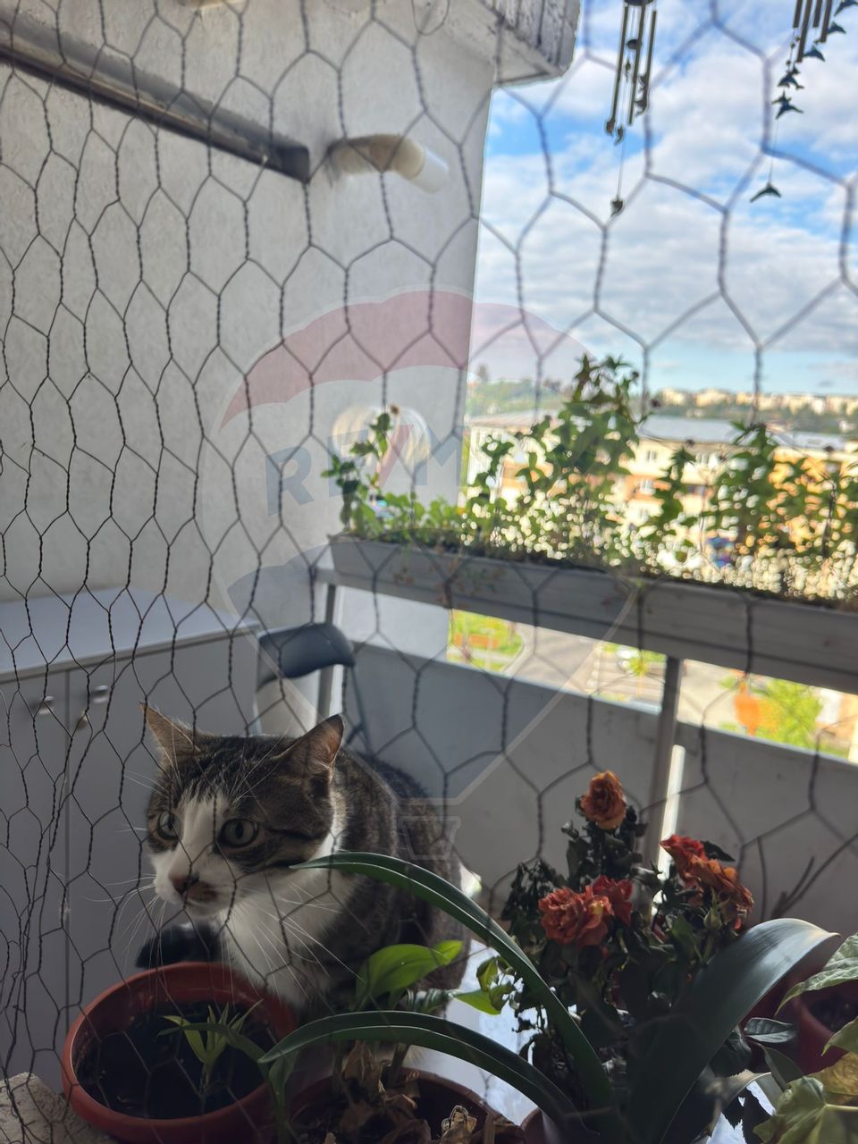 3 room Apartment for sale, Nord area