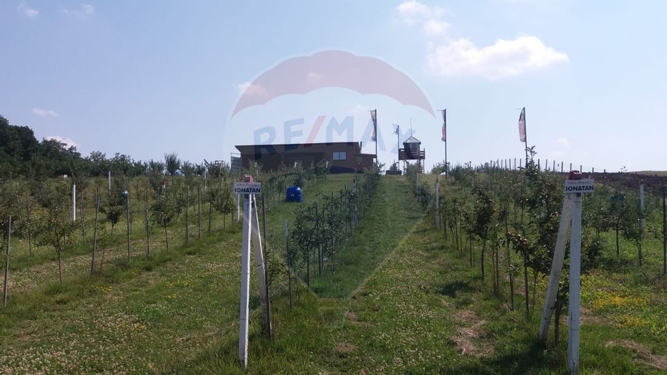 Land 33,333sqm Izbasesti / DN 142