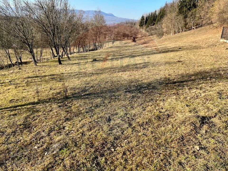 Land 6,900sqm Breb / Drumul secundar