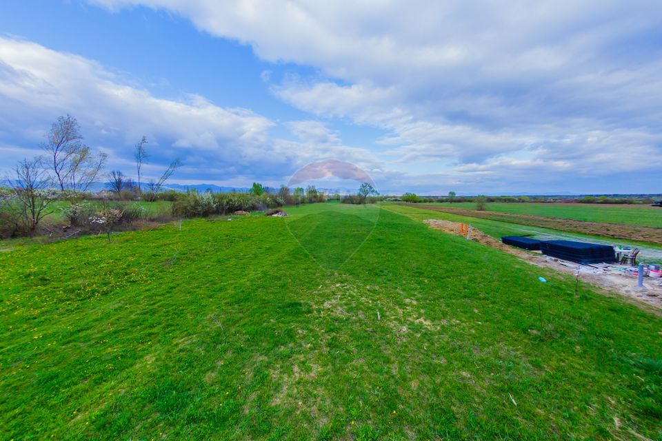 CASA DE VIS DE VANZARE IN COLTIREA