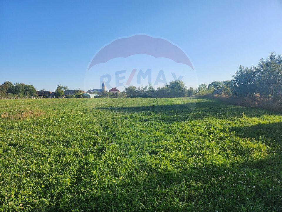 Land 1,200sqm Culcea / Strada Victoriei