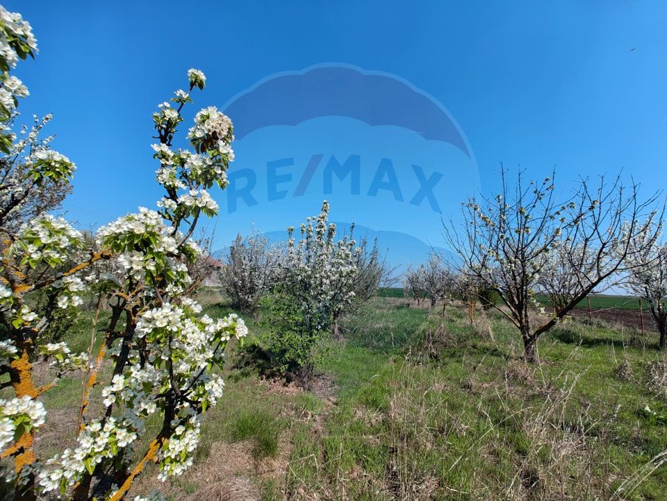 3 room House / Villa for sale