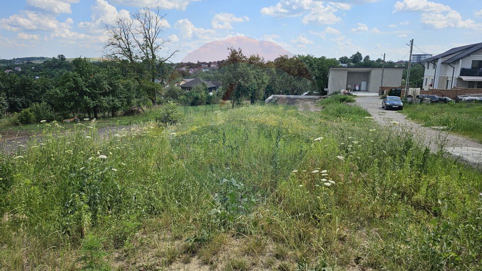 Land 1,017sqm Ipotesti / Strada Decebal