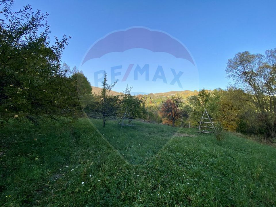 Land plot for sale Prahova -Secaria-Baiului Mountains