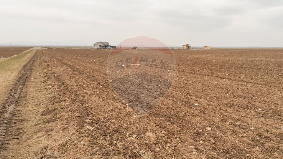 Land 52,410sqm Tarlungeni / Strada Harmanului