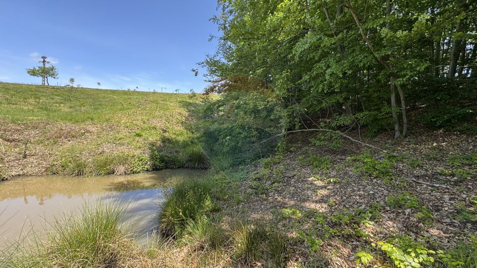 Teren de vanzare SE ACCEPTA SCHIMB CU PROPRIETATI