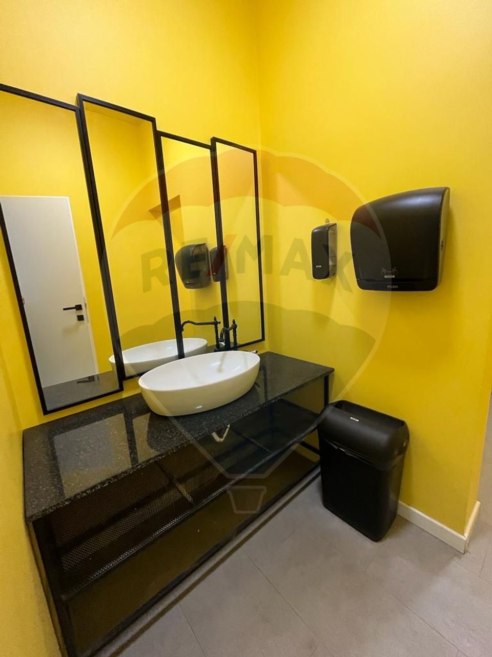 Spațiu comercial Vanzare cu Chiriasi | Taietura Turcului