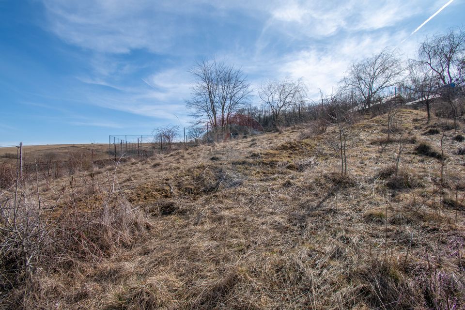 Casa Individuala de Vanzare – 4 Camere | Jucu de Sus