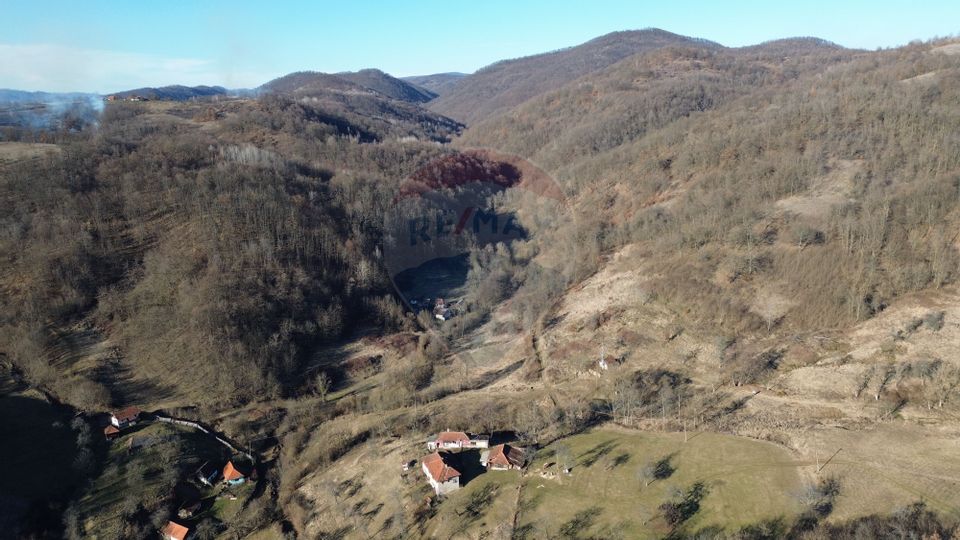 Land 13,811sqm Certeju de Jos / Strada Principala