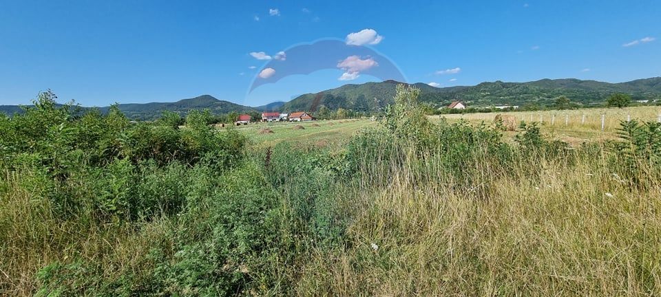 Teren intravilan in Bargau ( Cicarlau )-15 arii