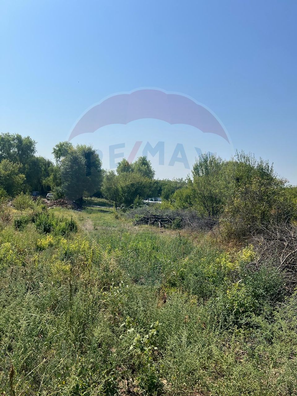 Teren de vanzare / 2,500 mp pe Malul Lacului Tancabesti /Ilfov