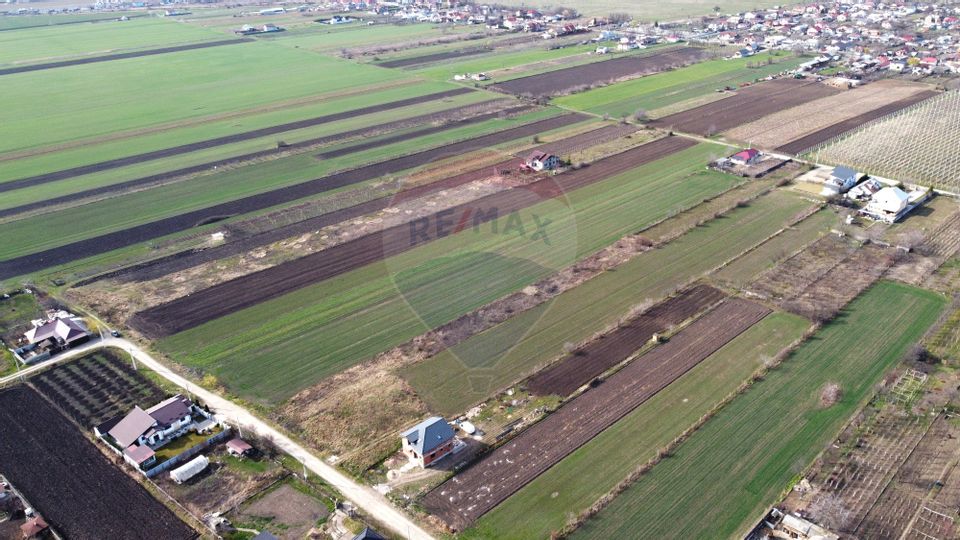 Teren Vanatori Strada Crizantemelor