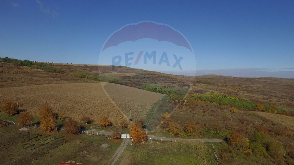 Land 2,556sqm Padureni (Chinteni) / Drumul DC147