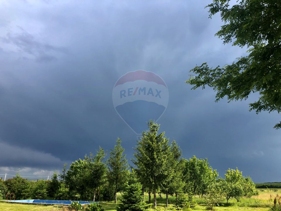 Proprietate speciala Dragomiresti Deal -Teren 15000 mp