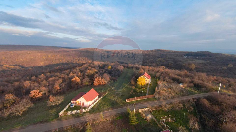 Teren intravilan de vânzare 915 mp – Săldăbagiu de Munte