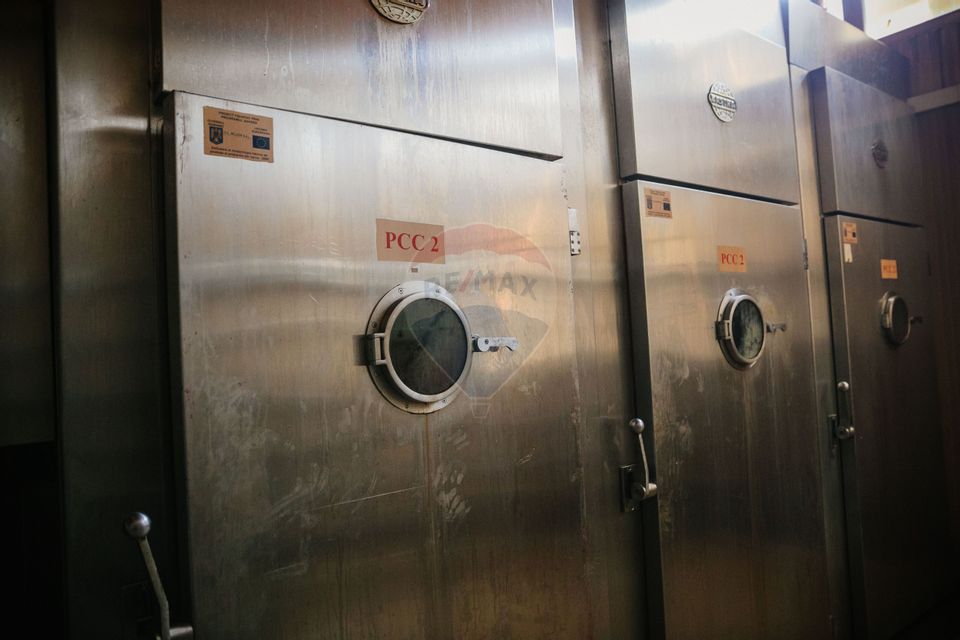 De vânzare AFACERE la cheie--CARMANGERIE--ABATOR--PREPARARE MEZELURI