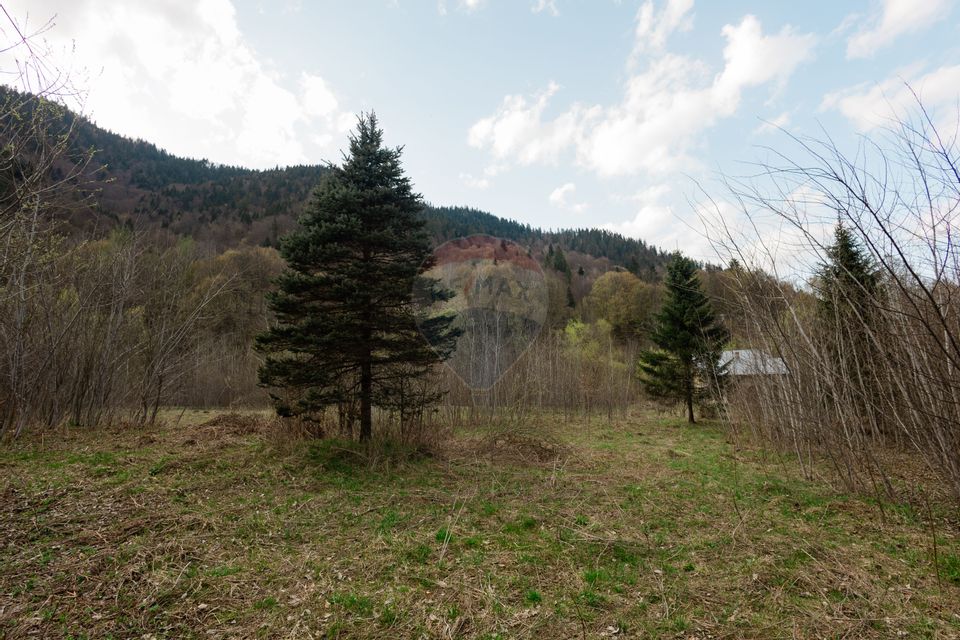 Casa si teren intravilan Tarcau